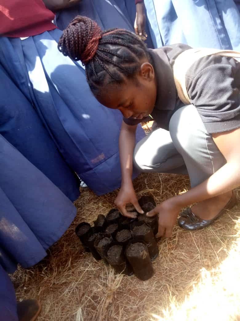 Students filling small nursery bags with soil.
