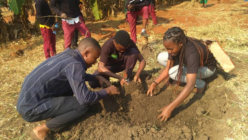 Students tending soil around a newly planted tree.