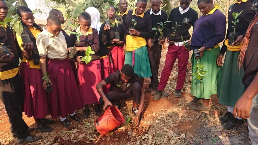 A group of students planting a tree with an educator nearby.