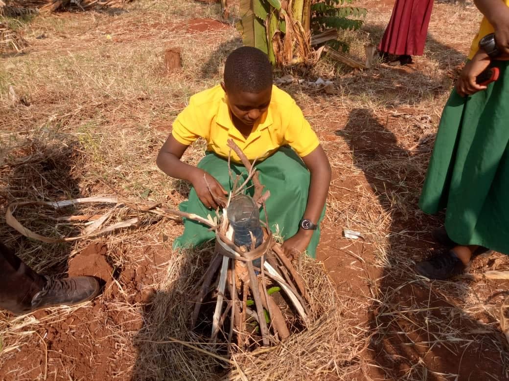 A student arranging a protective support around a young tree.